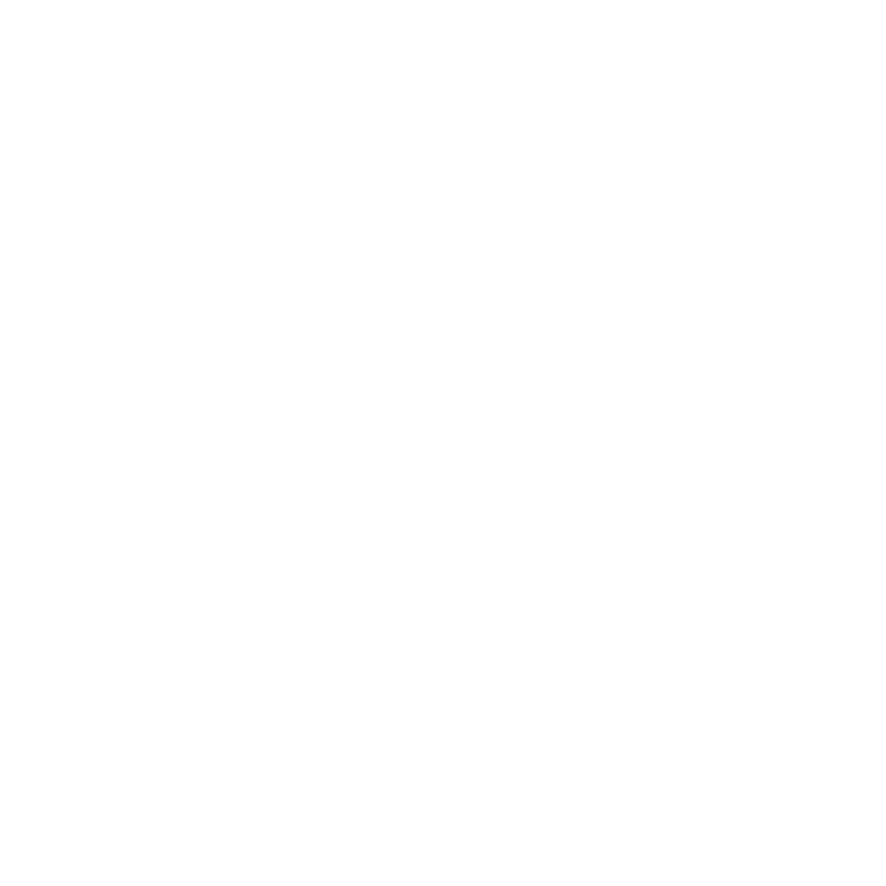 snow fox